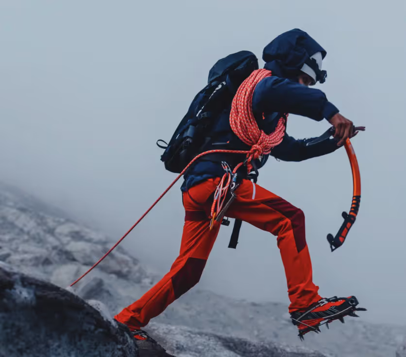 Athleisure / Sportswear brands