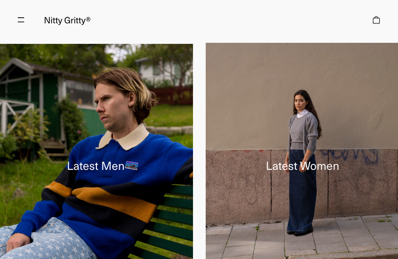 The landing page for Nitty Gritty website (September, 2023)