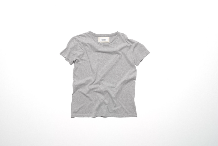 An image of team premium t-shirt — grey melange by Spalwart